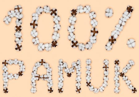 Lettering 100% pamuk from Turkish language means cotton, made of cotton flowers. Concept of organic raw material.の写真素材