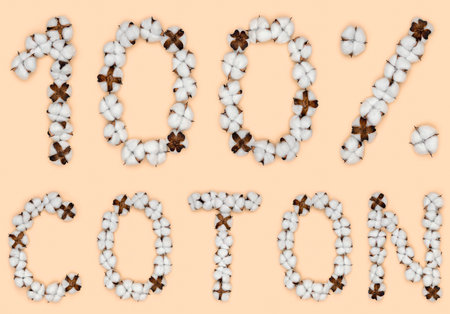 Lettering 100% coton from French language means cotton, made of cotton flowers. Concept of organic raw materials.の写真素材