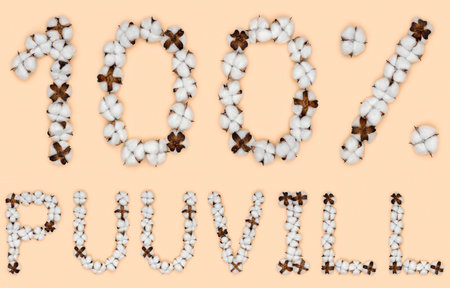 Lettering 100% puuvill from Estonian language means cotton, made of cotton flowers. Concept of organic raw materials.の写真素材