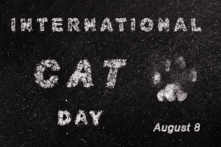 World Cat Day Banner. International Cat Day Poster. Holiday concept with white chalk lettering...