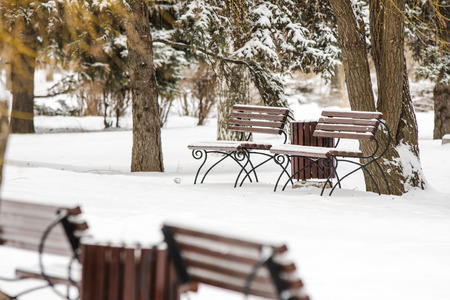Winter landscape with benches, spruce branches and trunks in the snow