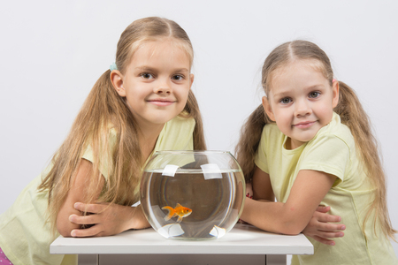 Two happy girls four and six years are at the table on which stands a fishbowl with goldfishの写真素材