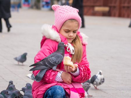 The girl was frightened brazen pigeon who jumped into his arms for a crust of breadの写真素材