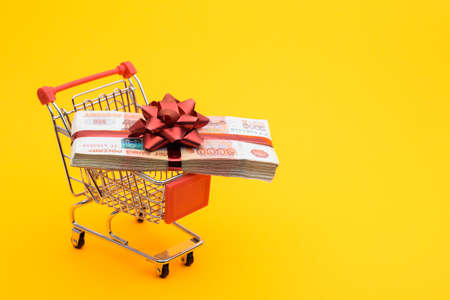 On the grocery cart is a bundle of money as a giftの写真素材