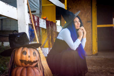In the foreground there is a figure of pumpkins with a vicious face, in the background a witch sits dreamilyの写真素材