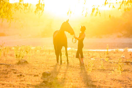Girl with a horse in the rays of the sunset backlightの写真素材