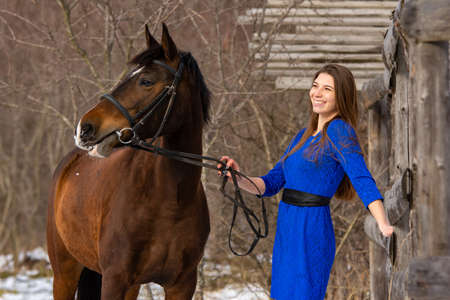 A happy girl holds a horse by the bridle and smiles, against the backdrop of a winter forestの写真素材