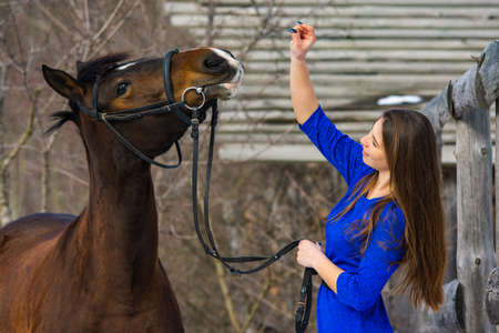 A beautiful young girl plays with a horse against the backdrop of a winter forest and wooden buildingsの写真素材