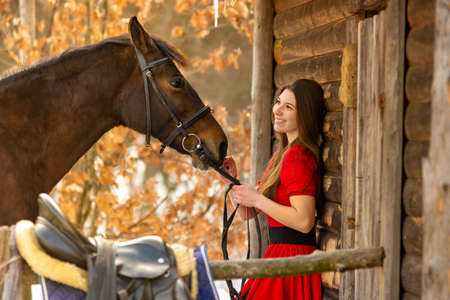 Portrait of a beautiful girl in a red dress, a girl holding a horse by the bridle, a beautiful background of a wooden wall and forestの写真素材