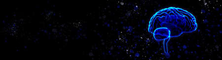 Brains on a black background. The concept of brains. The concept of reasonの写真素材