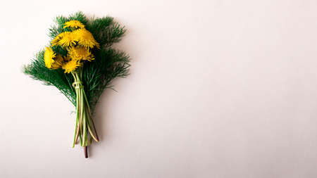 Wildflowers on a white wood background, lupine dandelions thyme mint bluebells rapeseed.の写真素材