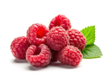 Raspberry isolated on white backgroundの素材