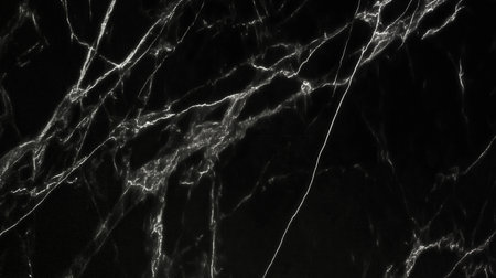 Black marble surface featuring striking white veins, perfect for use in design projects, backgrounds, and luxury interiors, adding sophistication and elegance to any settingの写真素材