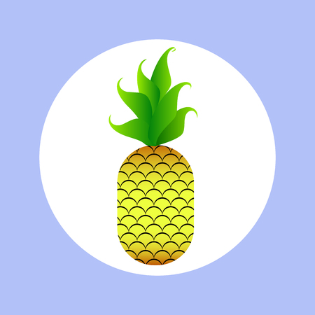sign of pineapple for your designのイラスト素材