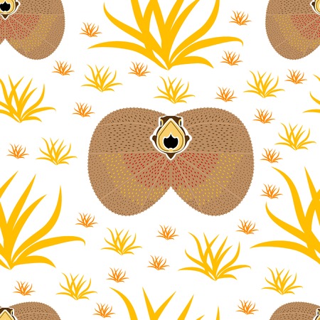 Seamless of frill-necked lizard portrait on white background with yellow and orange grass. seamless of wild animal and forms for your designのイラスト素材