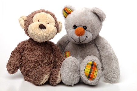 Two Teddies Sitting on White Isolated Backgroundの写真素材