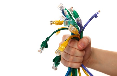 Hand Holding Colorful Internet Cables on White Isolated Backgroundの写真素材