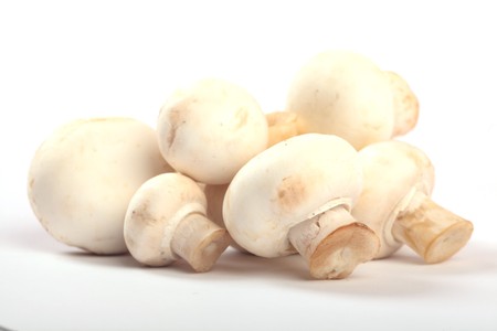 Pile Of White Mushrooms On White Isolated Backgroundの写真素材