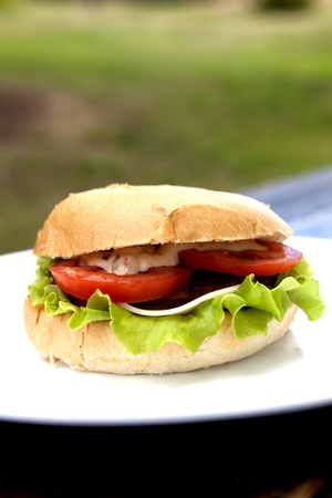 Delicious Cheeseburger With Salad And Tomato On A Plateの写真素材