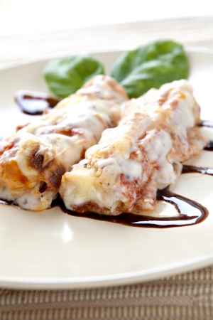 Two Filled Cannellonis with Cheese on a Plateの写真素材
