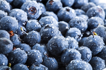 sweet fresh blueberryの写真素材