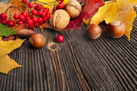 Autumn Leaves over wooden texture background with copy spaceの写真素材