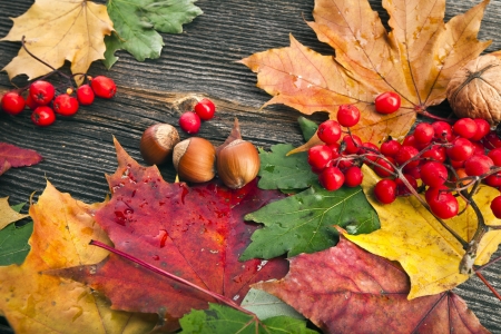 Autumn Leaves over wooden texture backgroundの写真素材