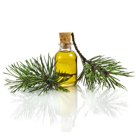 Bottle of fir tree essential oil isolated on white background close upの写真素材