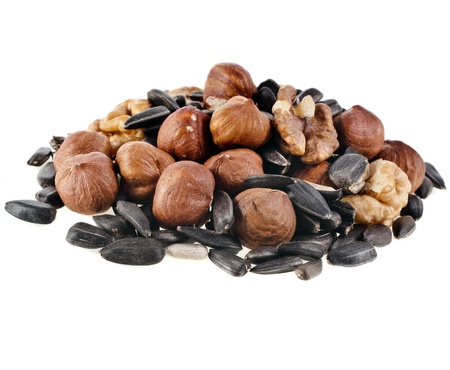 food for squirrels : nuts and seeds , isolated on white backgroundの写真素材