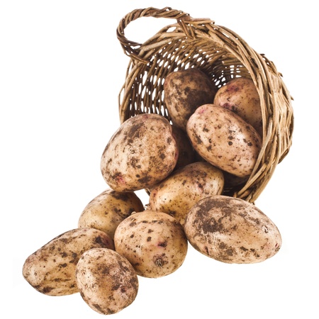 fresh potatoes in a wicker basket isolated on white backgroundの写真素材