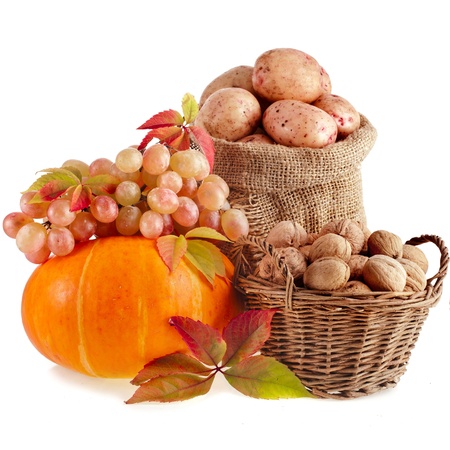 autumn fruits and nuts background isolated on whiteの写真素材