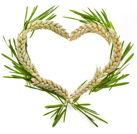 Wheat Heart Border Frame with copy space isolated on white backgroundの写真素材