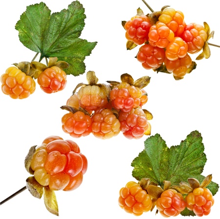 cloudberry close up isolated on whiteの写真素材