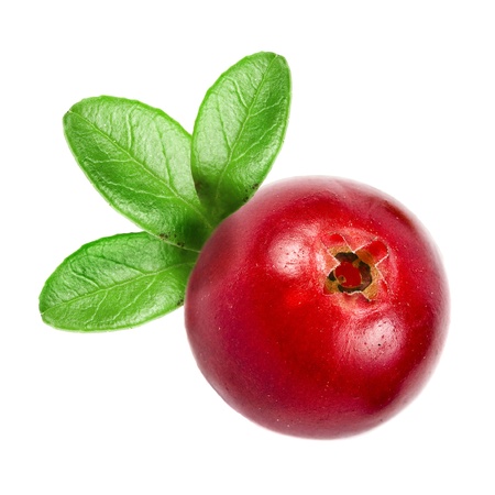 cranberry isolated on white backgroundの写真素材