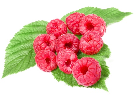 raspberries isolated on a white backgroundの写真素材