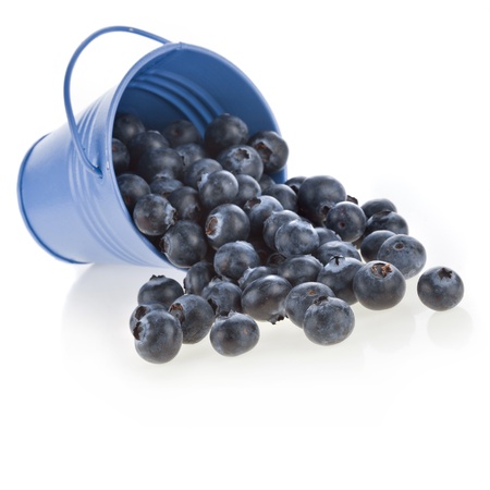 blueberry berries in a color bucket isolated on white backgroundの写真素材