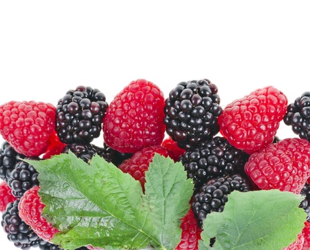 Blackberries   dewberries  with raspberries on white backgrounds