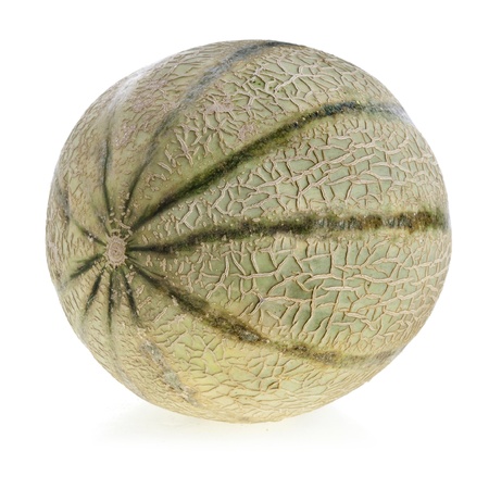 one single cantaloupe melone close up macro isolated on whiteの写真素材