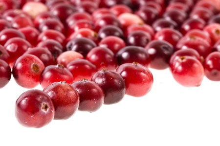 cranberries isolated on white backgroundの写真素材