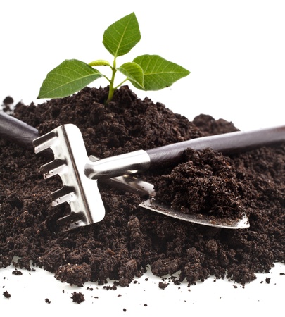 gardening tools and seedling in soil isolated on a white backgroundの写真素材