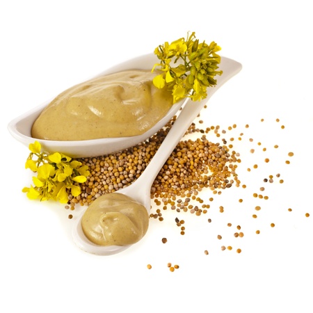 Mustard dish sauce , seeds and mustard flower isolated on white backgroundの写真素材