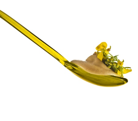 Mustard sauce and mustard flower in spoon isolated on white backgroundの写真素材