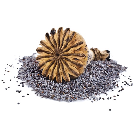 poppy seeds and poppy head top view isolated on white backgroundの写真素材