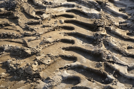    traces of the machine on the surface ground background                            の写真素材