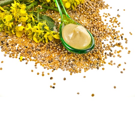 Mustard sauce in spoon and mustard flower isolated on white backgroundの写真素材