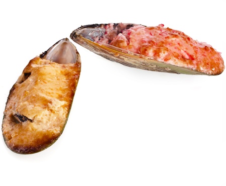 oysters under the spice cheese sauce isolated on white backgroundの写真素材