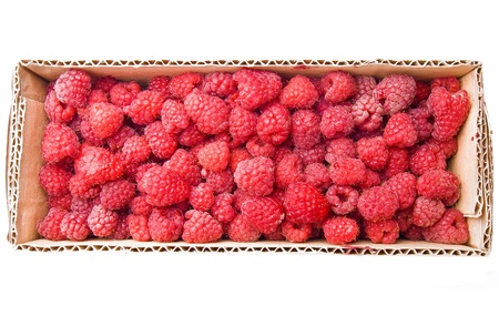 Raspberries in the cardboard box isolated on white background
