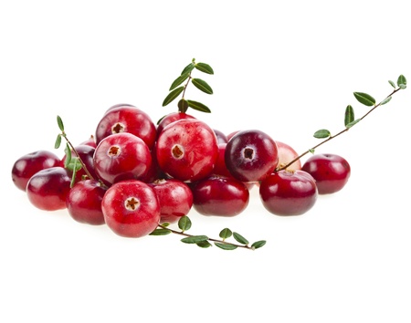 cranberries isolated on white backgroundの写真素材
