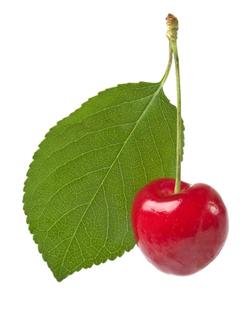 cherry object on a white backgroundの写真素材