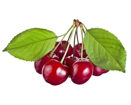 cherry fruit isolated on white backgroundの写真素材